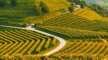 Le colline del Prosecco di Conegliano e Valdobbiadene