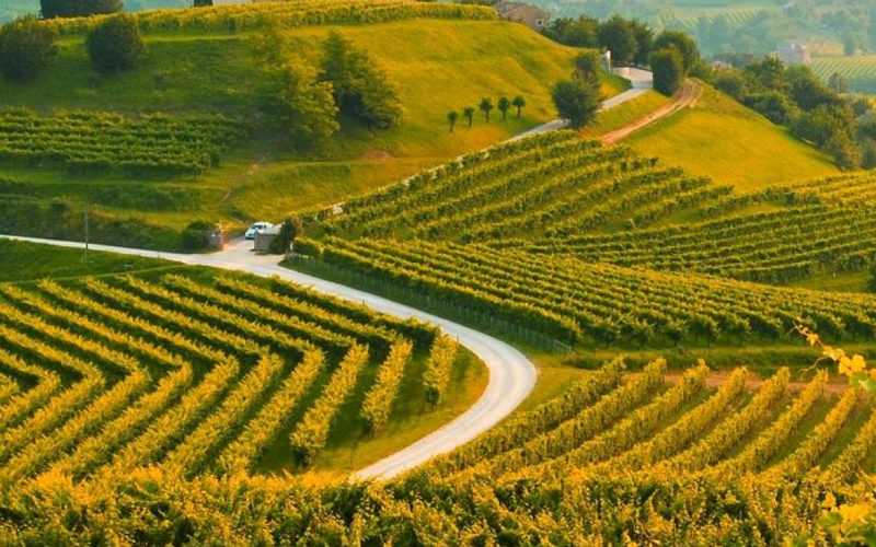 Le colline del Prosecco di Conegliano e Valdobbiadene