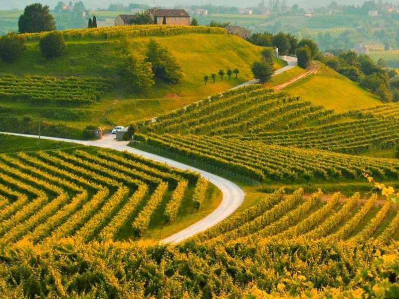 Le colline del Prosecco di Conegliano e Valdobbiadene