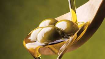 Evoodays-olio-extravergineolio-made-in-italy