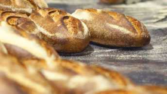 panetteria-by-fucina