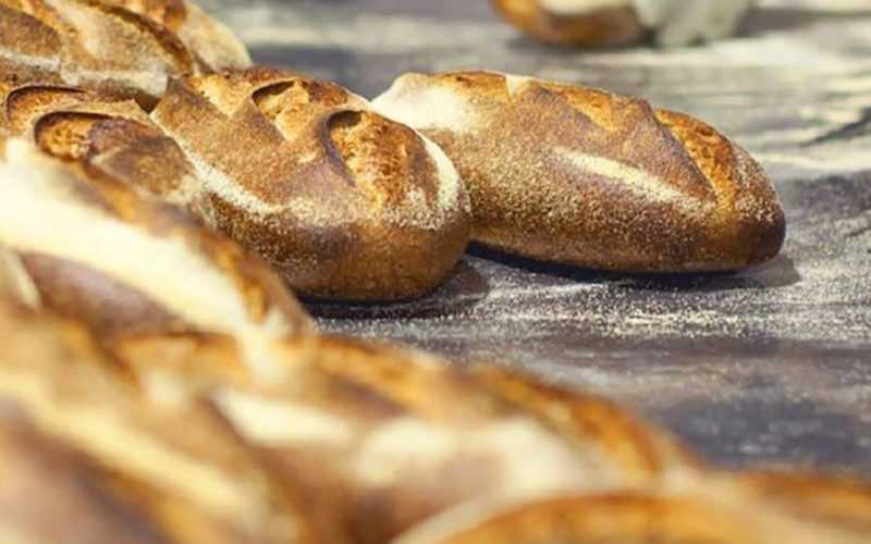 panetteria-by-fucina