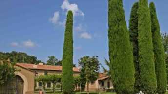 made in italy, Ornellaia