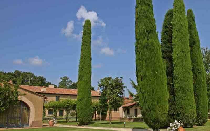 made in italy, Ornellaia