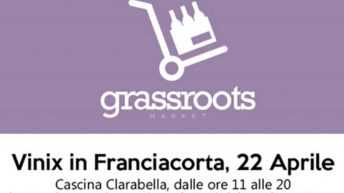 vinix-in-francicorta