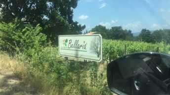 Agricola Bellaria