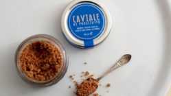 caviale di prosciutto san Daniele